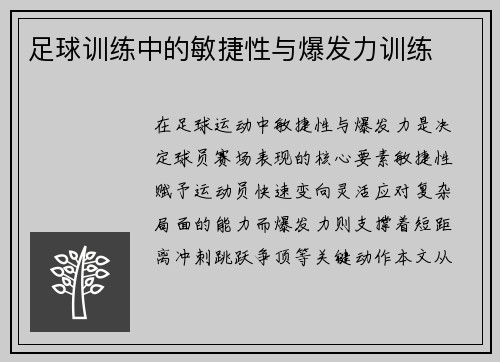 足球训练中的敏捷性与爆发力训练