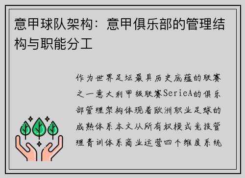 意甲球队架构：意甲俱乐部的管理结构与职能分工